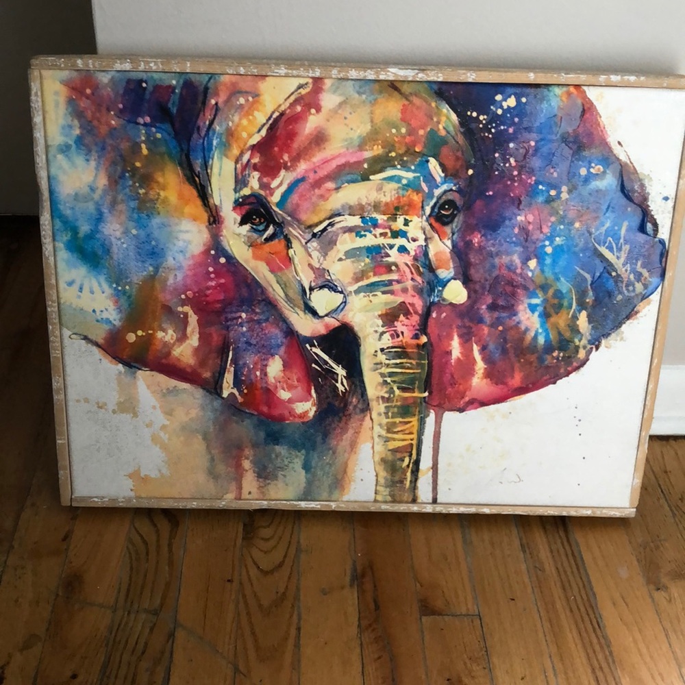 Multicolor elephant painting